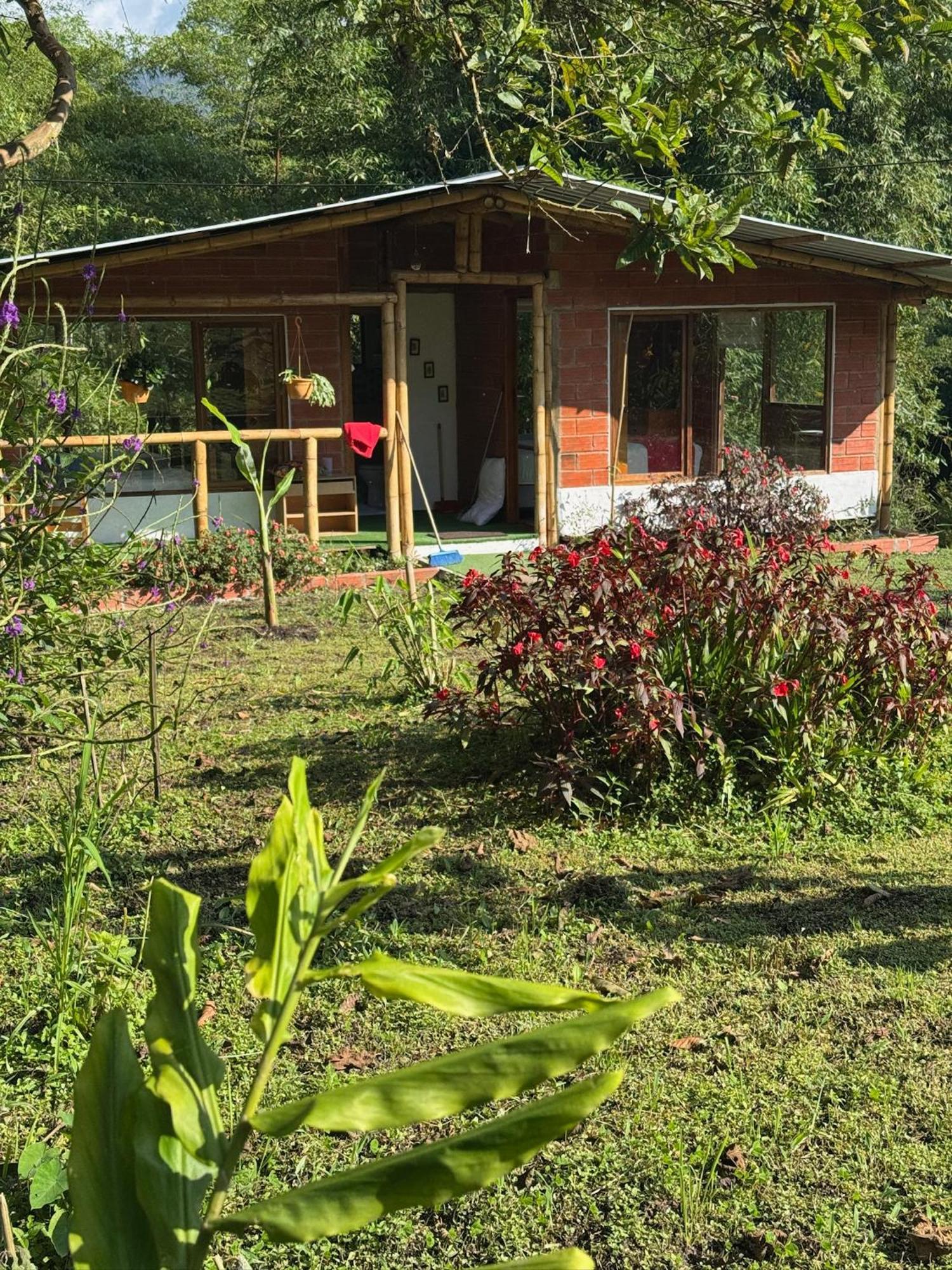 Green Bamboo Lodge San Francisco de Borja Exteriér fotografie
