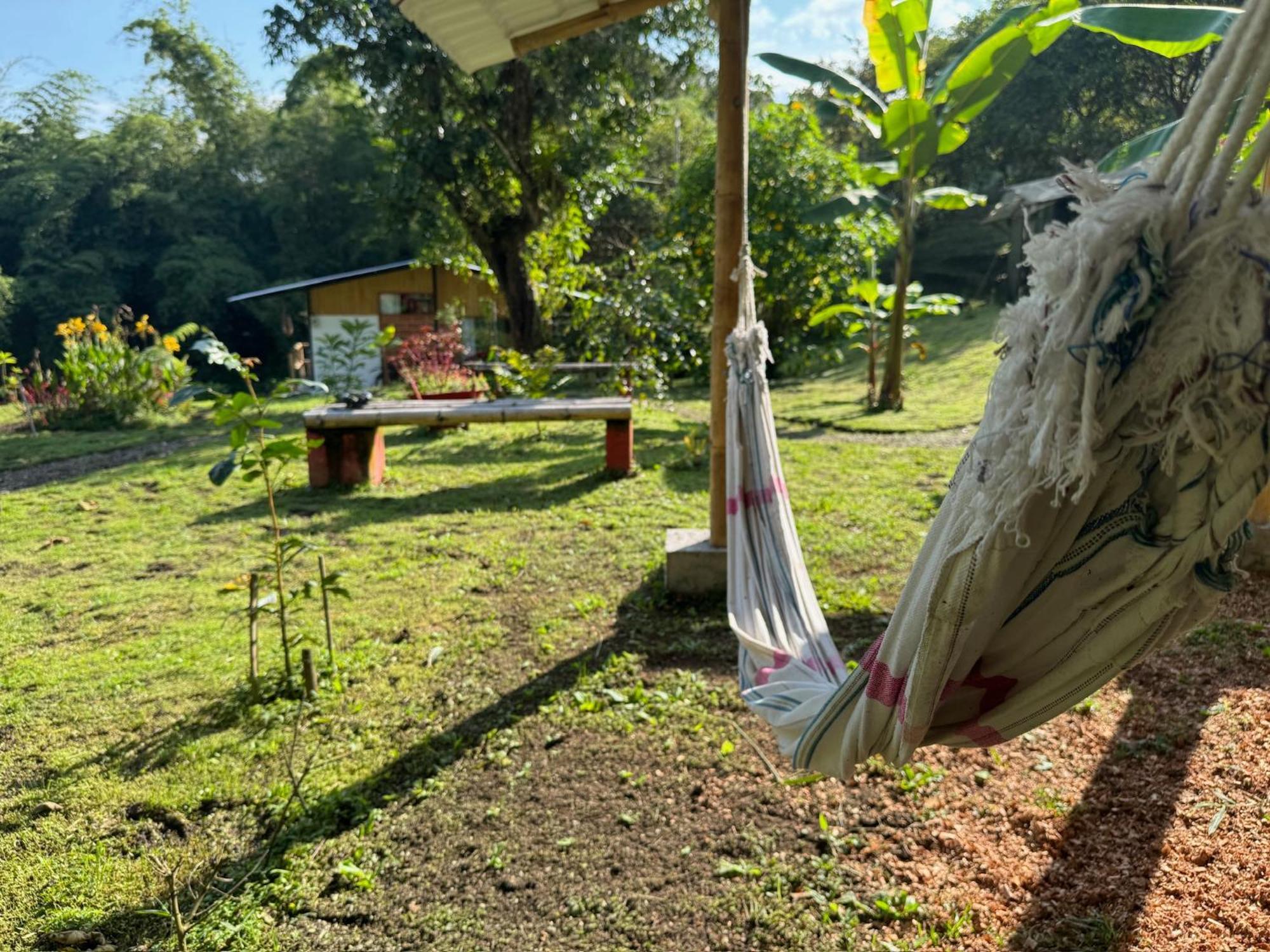Green Bamboo Lodge San Francisco de Borja Exteriér fotografie